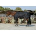 Productos protectores Signature Rain Sheet Horse Hazout