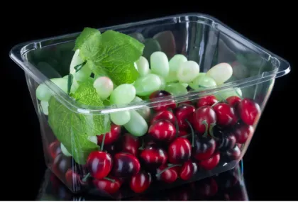 Fruit Special PET Transparent Salad Tub Without Cover