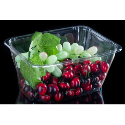 Transparent Plastic Salad Tub For Vegetables Without Cover