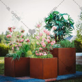 Corten steel planter boxes