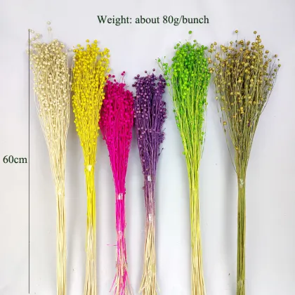 Dried Flowers and Botanicals: Acacia Beans, Hypericum Berries, and Natural Flax Bunch
