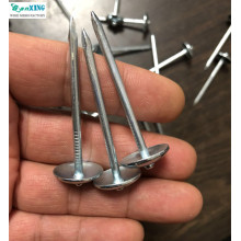 ISO9001 Factory Supply Galvanized Umbrella Head Roofing Nails