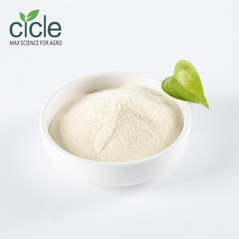 Amino Acid Powder