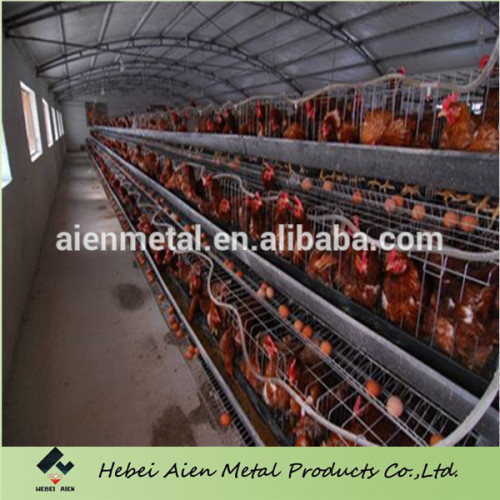 Welded Galvanized Types Of Poultry Cage, High Quality Welded Galvanized