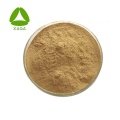 Forsythia Fructus Extract 2% Phillyrin Powder CAS 487-41-2