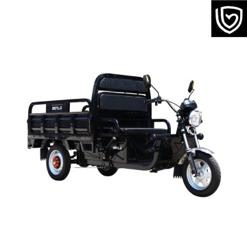 Top Performance Electric Tricycle