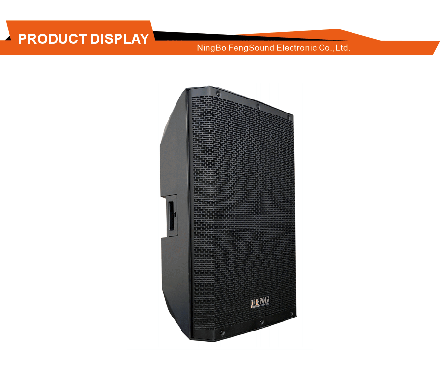 Rugged Portable Active Speaker