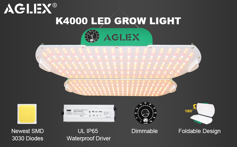 K4000 grow light
