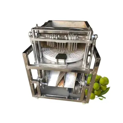 Automatic Fruit Seed Pitting Machine: Hawthorn, Cherry, Plum, and Jujube Seeder