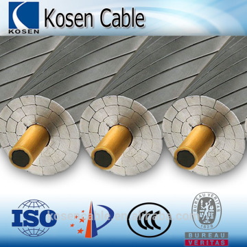 ACSR, AAC, AAAC, ACSS/TW, ACCC, ACAR,OPGW bare overhead conductor