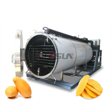 Mango Freeze Dryer Machine: High-Quality Liofilizer/Freeze Drying Machine for Food Preservation