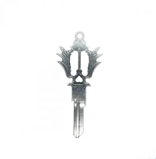 Special Key Custom Design Brass Blank Key For Tourists