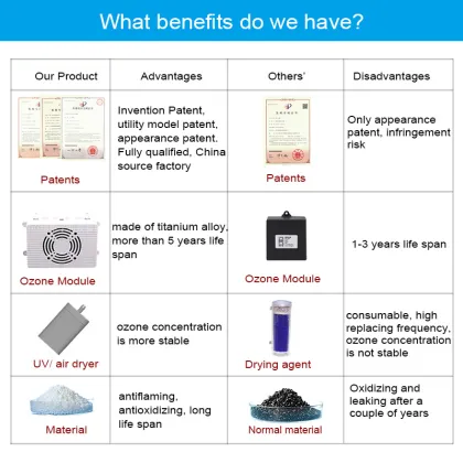 Comprehensive Commercial Solutions: Ozone Food, Fruit Sterilization Equipment, Machines, Water Purifiers