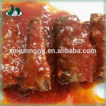 Wholesale china canned tomato sauce tast mackerel