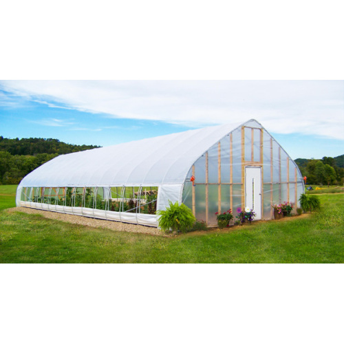 Gothic Single Span Greenhouse for Vegetables Flowers