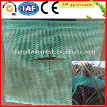 Fruit Pineapple Sun Shade Net With UV Protection