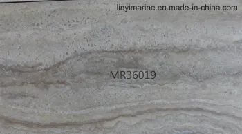 Export Designs 300X600mm 300X450mm Ceramic Wall Tiles