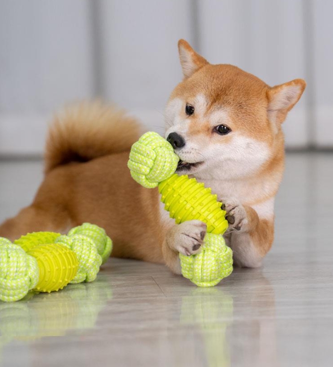 Rope Tug Toys for dogs