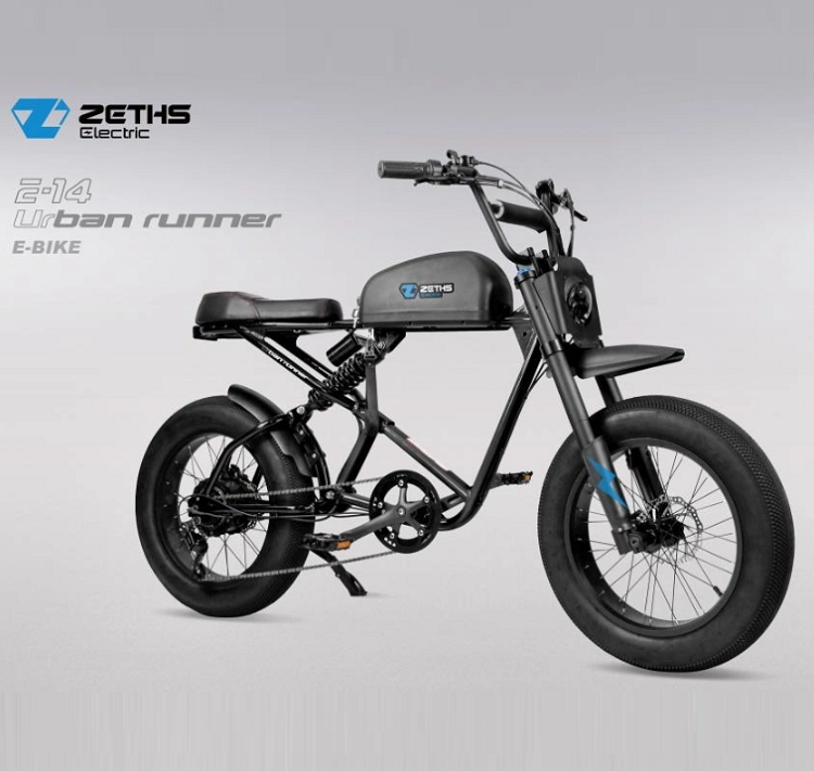 Fast adult electric bike