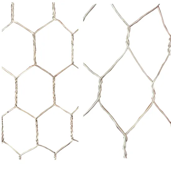 Galvanized or PVC Coated Hexagonal Mesh Bird Net Chicken Wire Mesh