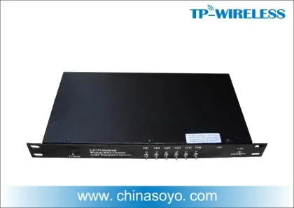 Digital Wireless Conference System