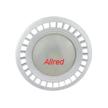 100W  High Power LED  Landscape Floodlight