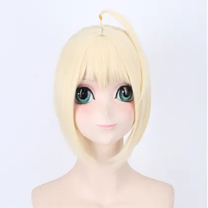 Gold and Gray Saber Cosplay Wig - Fate/stay Night