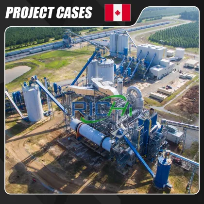 User-Friendly Hemp Pelletizer Machine (1-30 T/H) for Efficient Hemp Processing