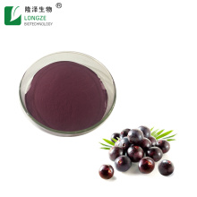 100% Natural Acai Berry Extract 25% Anthocyanidins Powder