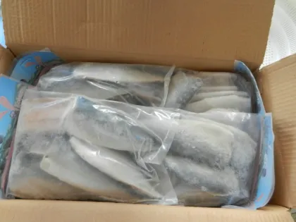 Frozen Mackerel Fish Fillet Products