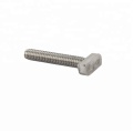 Metric stainless steel T-head bolts