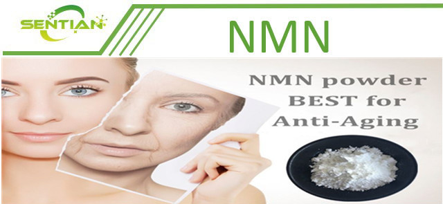 NMN Powder