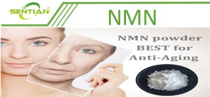 Nmn 99% Beta-Nicotinamide Mononucleotide Nmn