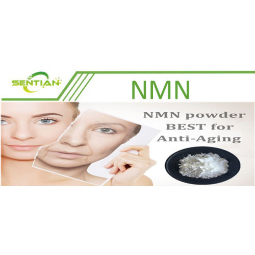 Nmn 99% Beta-Nicotinamide Mononucleotide Nmn