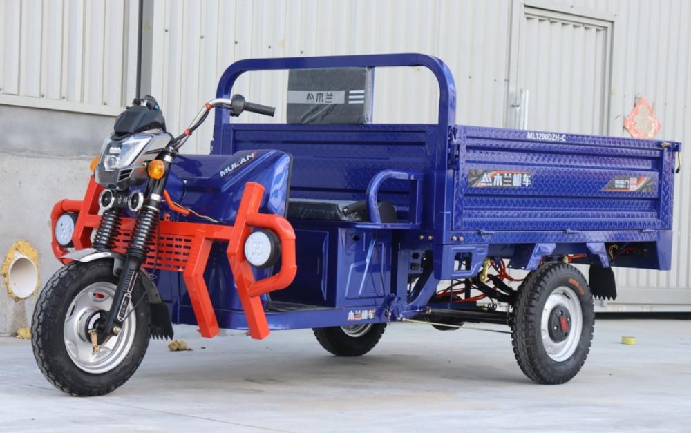 Tricycle électrique de cargaison à chaud