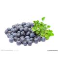 Water Soluble Blueberry Powder For Drink Beverage Juice