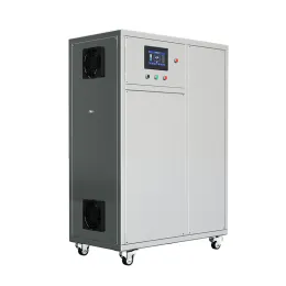 200g/h ozone generator