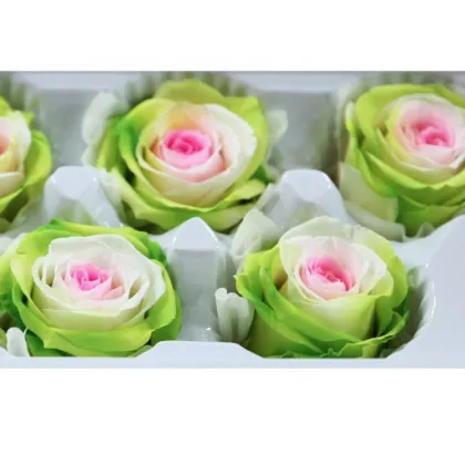 Kunming Factory Rainbow Preserved Forever Rose 56cm Everlasting Flower