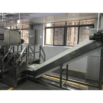 Delicious chocolate chocolate cookies