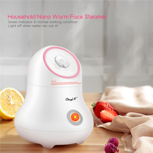Nano Ionic Facial Steamer Lady Face Sprayer Humidifier Personal Sauna