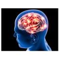 1-20000HZ Frequency Neuro PBM Bain therapy helmet