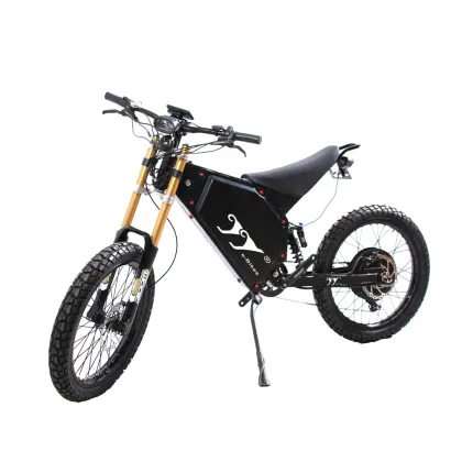 Wholesale Changzhou Leili Electric Road Bike 5000W Enduro EBike