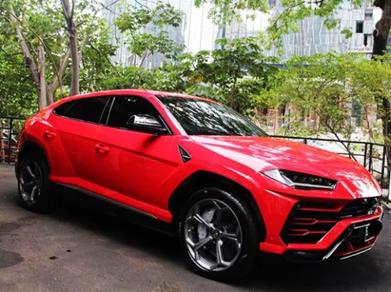 paint protection film for car