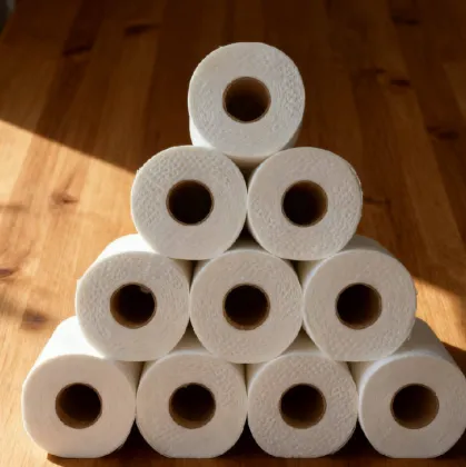 Customized Embossed Oil Absorbing Kitchen Paper Towels