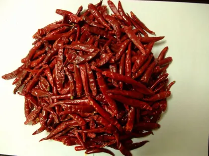 High quality natural organic chili pods