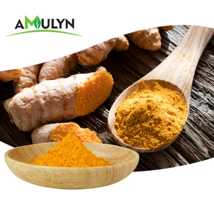 Natural Turmeric Extract Powder Curcumin 95%