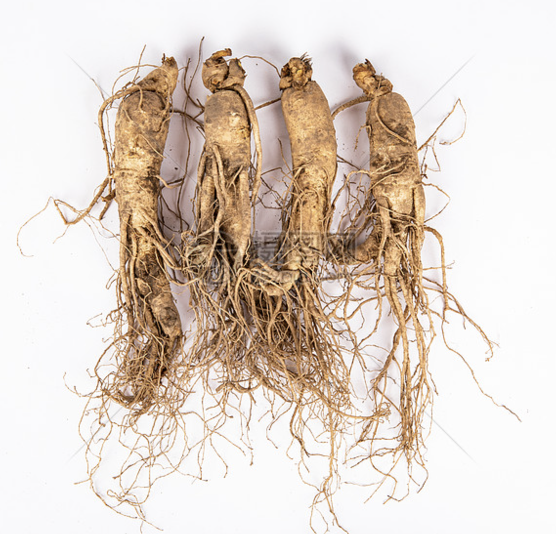 Ginseng Extract Bulk Wholesale