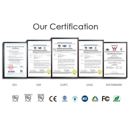 Australian Watermark Wall-Mounted Rain Shower Head