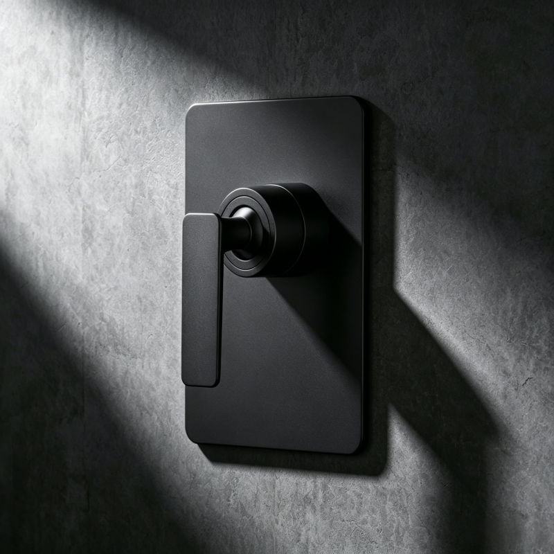 shower valve and diverter