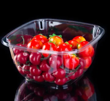 Packed Fruit Salad Blister Container